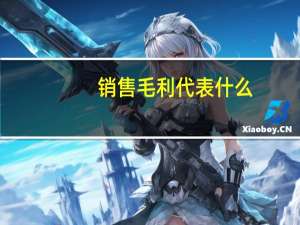 销售毛利代表什么
