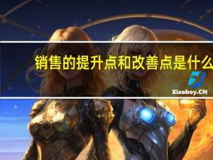 销售的提升点和改善点是什么