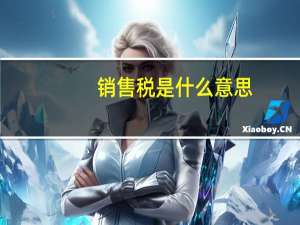 销售税是什么意思