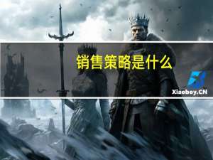 销售策略是什么