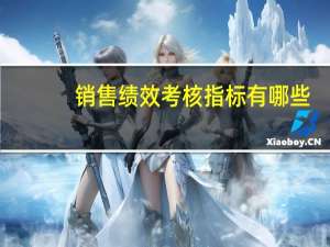 销售绩效考核指标有哪些