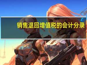 销售退回增值税的会计分录