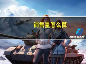 销售量怎么算