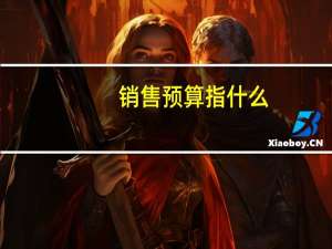 销售预算指什么