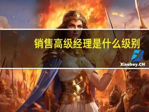 销售高级经理是什么级别