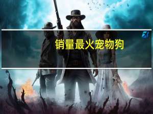 销量最火宠物狗