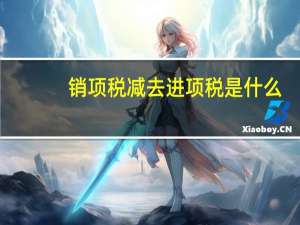 销项税减去进项税是什么