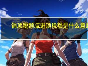 销项税额减进项税额是什么意思