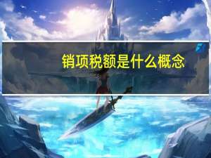 销项税额是什么概念（销项税额是什么意思）