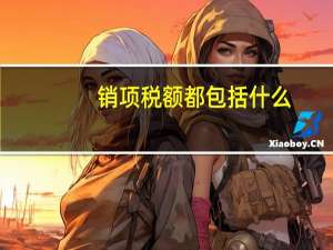 销项税额都包括什么
