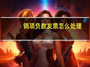销项负数发票怎么处理