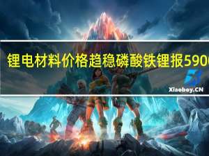 锂电材料价格趋稳 磷酸铁锂报59000元/吨