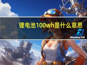 锂电池100wh是什么意思