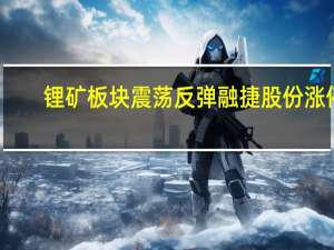 锂矿板块震荡反弹 融捷股份涨停