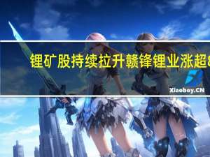 锂矿股持续拉升 赣锋锂业涨超8%