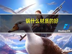 锅什么材质的好