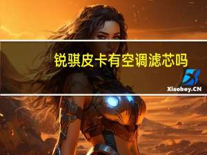 锐骐皮卡有空调滤芯吗