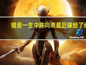错爱一生中陈向南最后嫁给了谁（错爱一生片尾曲）