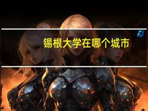 锡根大学在哪个城市