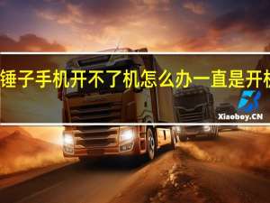 锤子手机开不了机怎么办一直是开机状态（锤子手机开不了机怎么办）