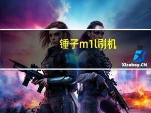 锤子m1l刷机（锤子m1）