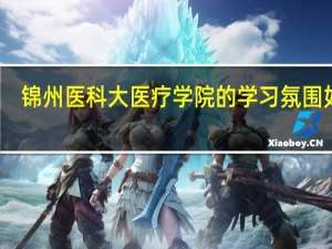 锦州医科大医疗学院的学习氛围如何