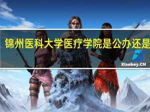 锦州医科大学医疗学院是公办还是民办