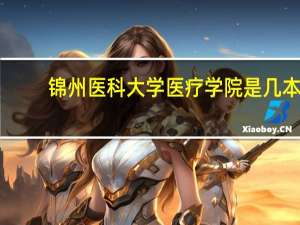 锦州医科大学医疗学院是几本