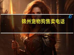 锦州宠物狗售卖电话