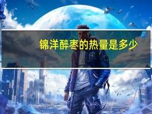 锦洋 醉枣的热量是多少