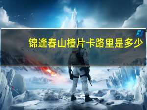 锦逢春 山楂片卡路里是多少