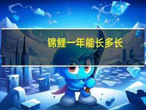 锦鲤一年能长多长