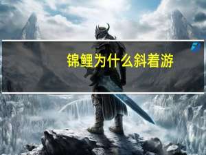 锦鲤为什么斜着游