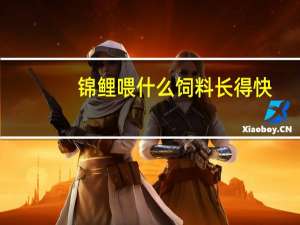 锦鲤喂什么饲料长得快
