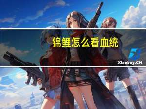 锦鲤怎么看血统