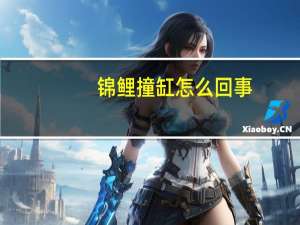 锦鲤撞缸怎么回事