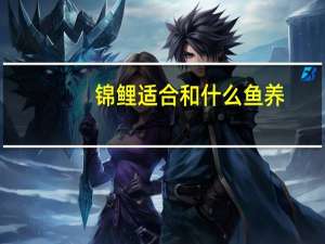 锦鲤适合和什么鱼养
