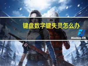键盘数字键失灵怎么办（键盘数字键失灵）