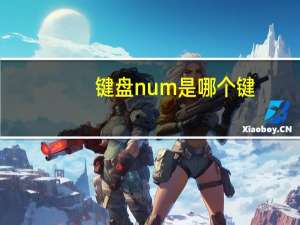 键盘num是哪个键