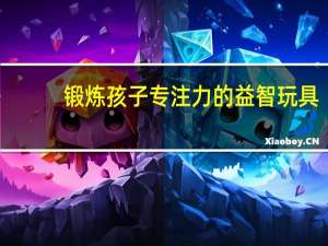 锻炼孩子专注力的益智玩具