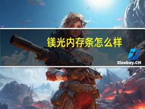 镁光内存条怎么样