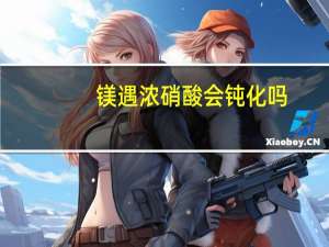 镁遇浓硝酸会钝化吗