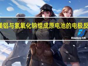 镁铝与氢氧化钠组成原电池的电极反应式为