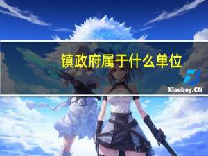 镇政府属于什么单位（镇政府属于什么单位）