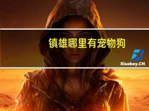 镇雄哪里有宠物狗