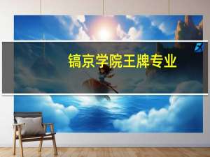 镐京学院王牌专业