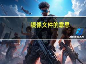 镜像文件的意思（镜像文件是什么意思）