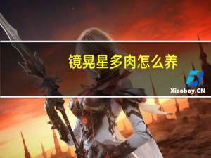 镜晃星多肉怎么养