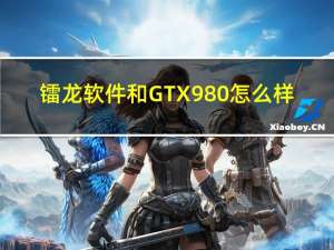 镭龙软件和GTX980怎么样？