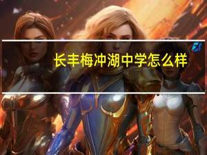 长丰梅冲湖中学怎么样